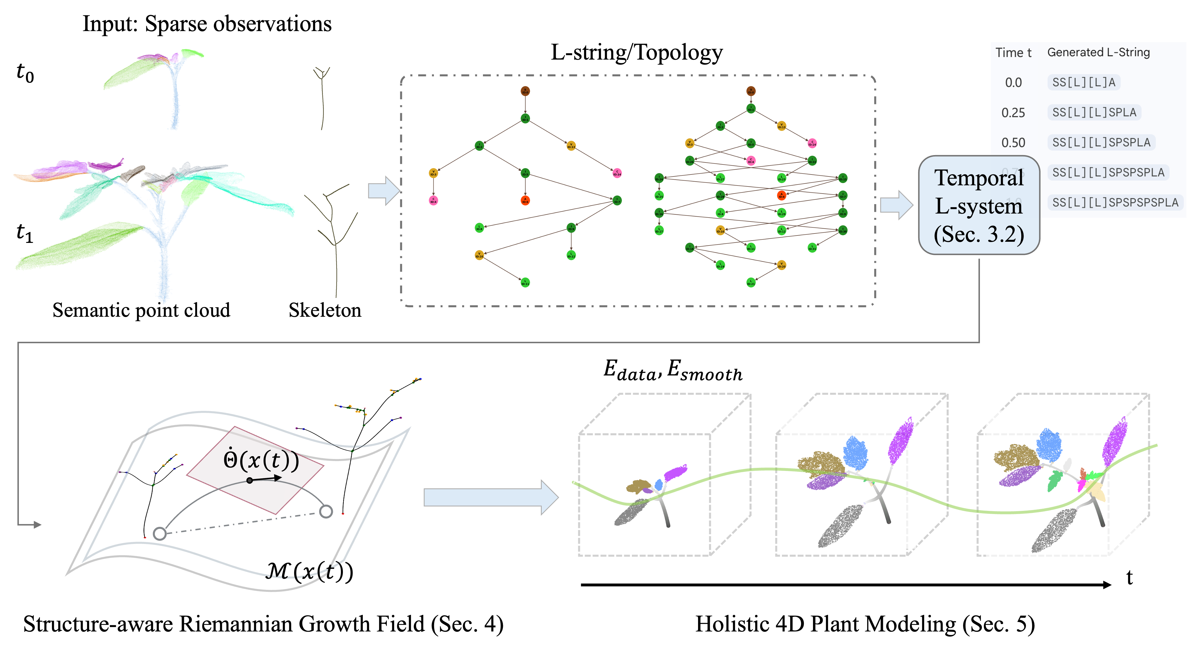 Overview of the Plant4D pipeline.